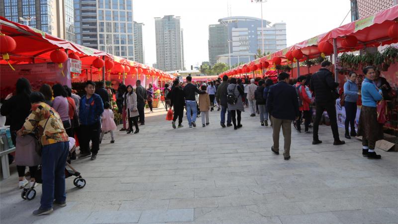 2018广州春节花展