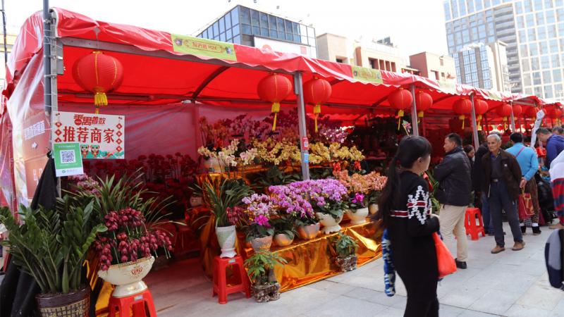 2018广州春节花展